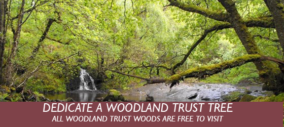 woodland trust